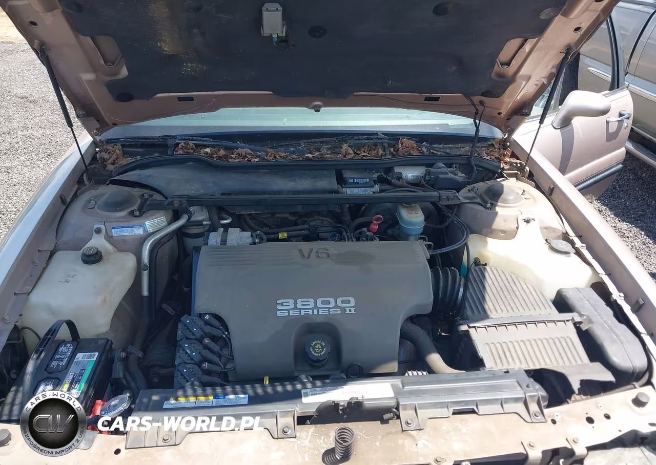 1999 Buick Lesabre Custom VIN:1G4HP52K3XH409224 - 10