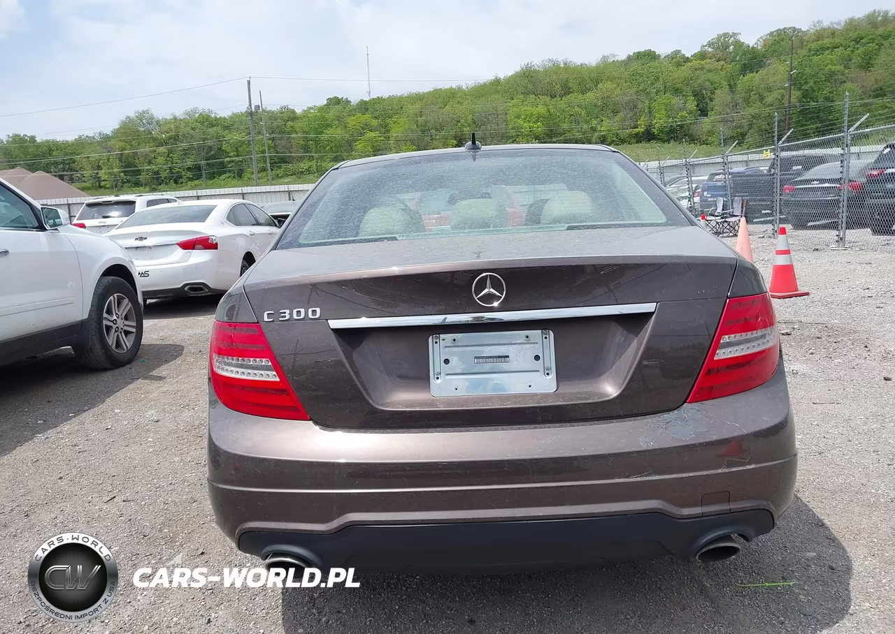 2014 Mercedes-Benz C 300 Sport 4Matic VIN:WDDGF8AB7EG198379 - 17