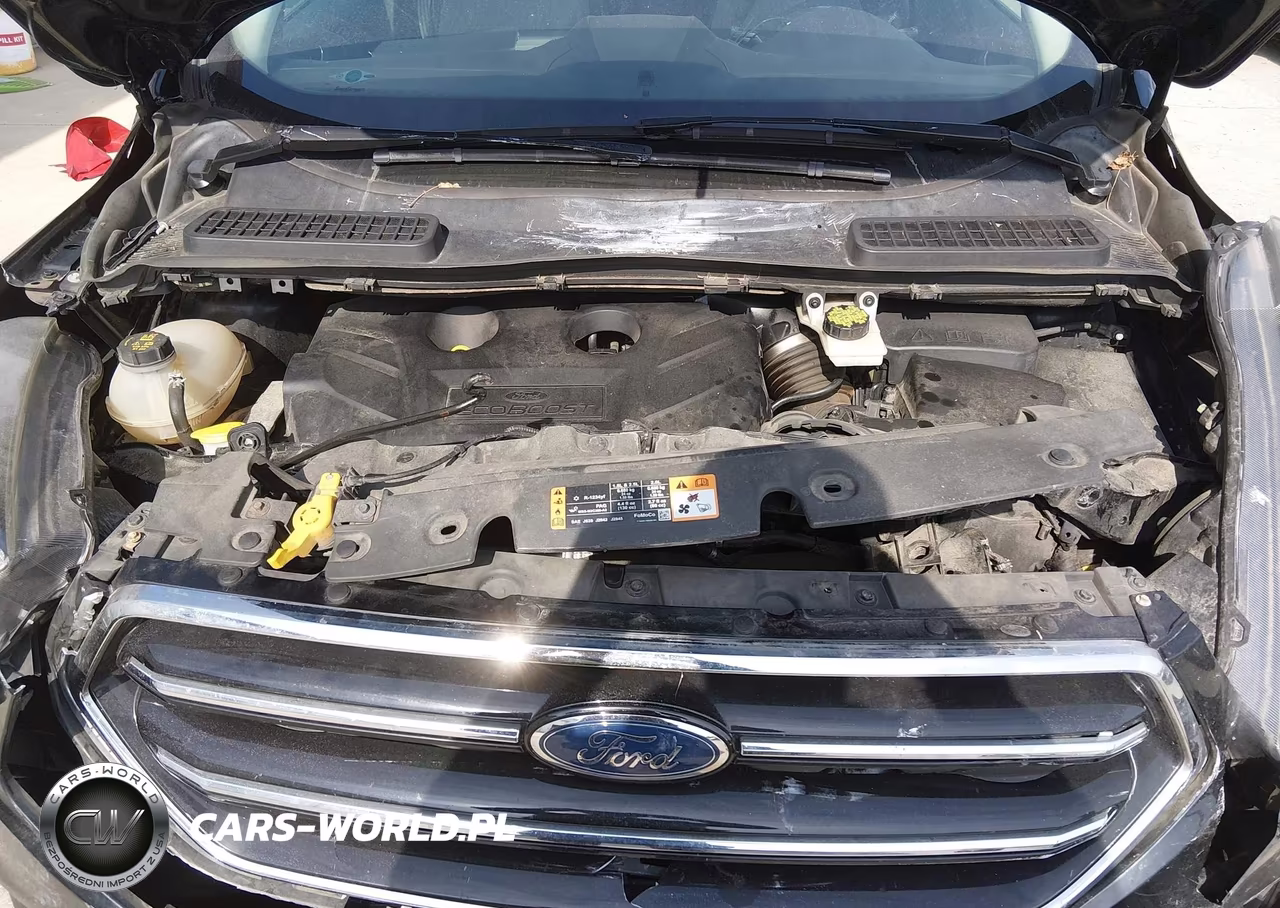 2017 Ford Escape Se VIN:1FMCU9G92HUB06458 - 10