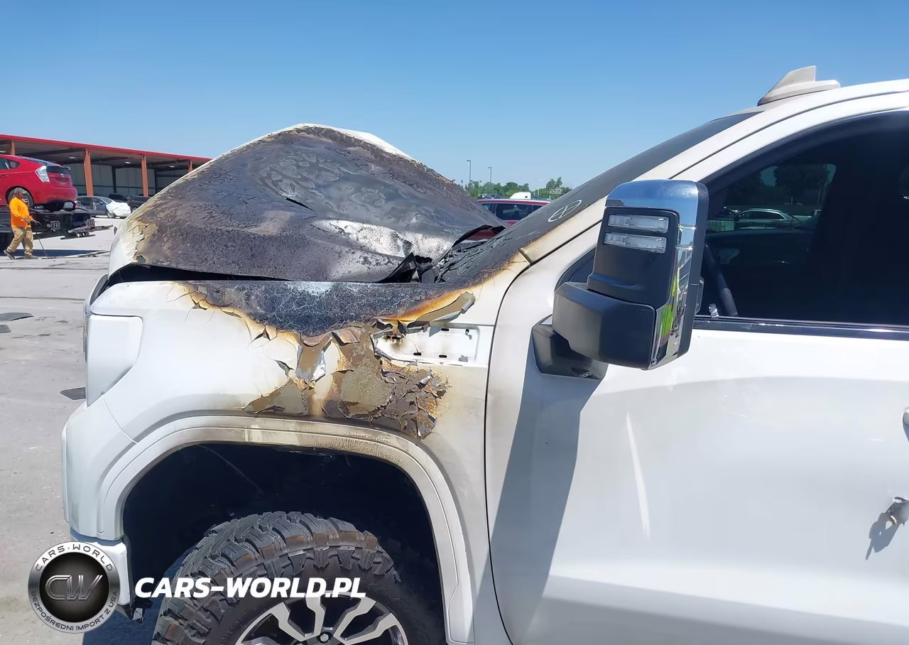 2020 GMC Sierra 1500 4Wd Standard Box At4 VIN:1GTU9EETXLZ333894 - 12