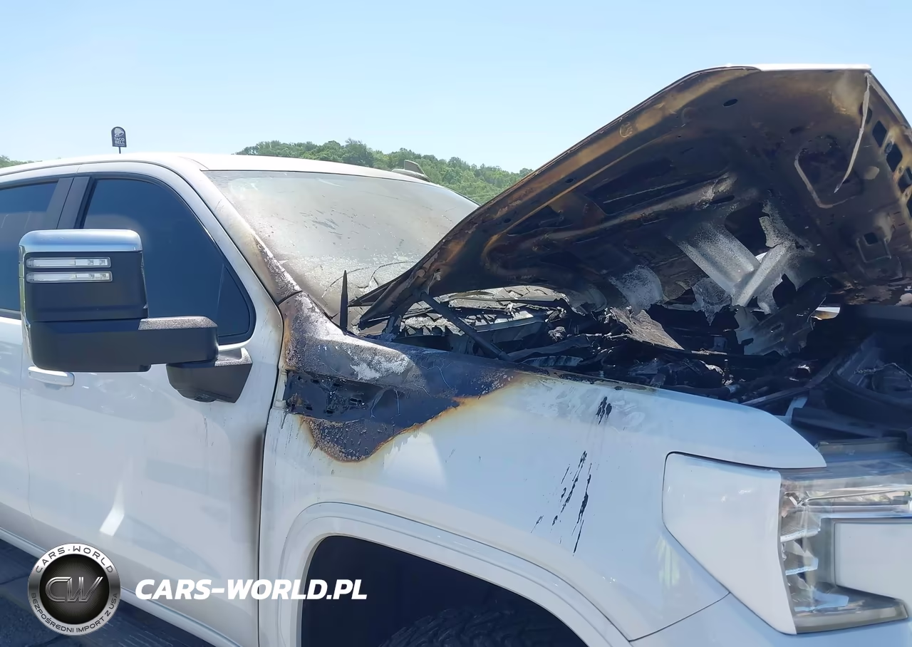 2020 GMC Sierra 1500 4Wd Standard Box At4 VIN:1GTU9EETXLZ333894 - 14