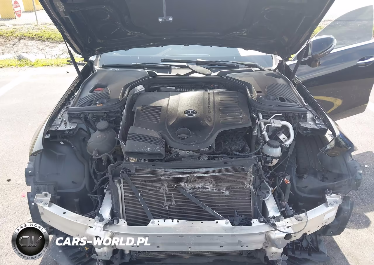 2019 Mercedes-Benz Cls 450 VIN:WDD2J5JB1KA031473 - 10