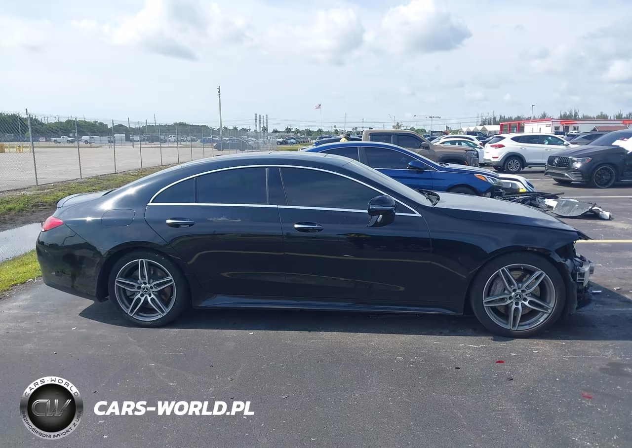 2019 Mercedes-Benz Cls 450 VIN:WDD2J5JB1KA031473 - 14