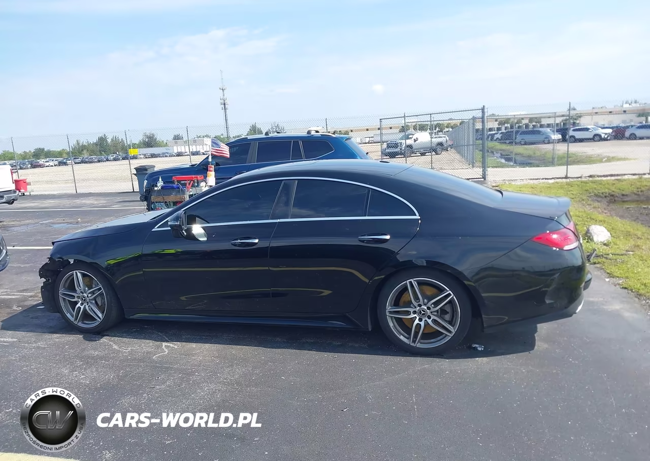 2019 Mercedes-Benz Cls 450 VIN:WDD2J5JB1KA031473 - 15