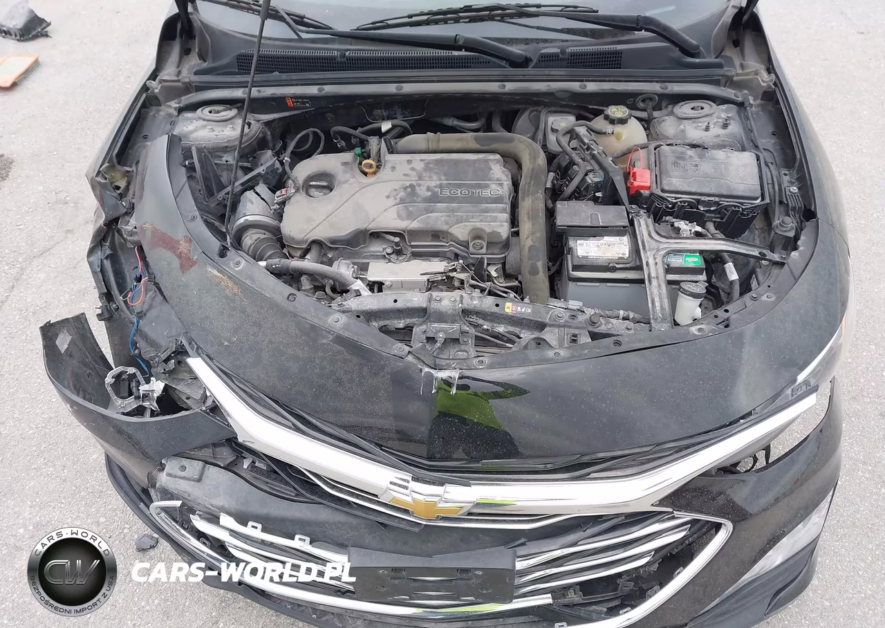 2019 Chevrolet Malibu Lt VIN:1G1ZD5ST4KF151979 - 10