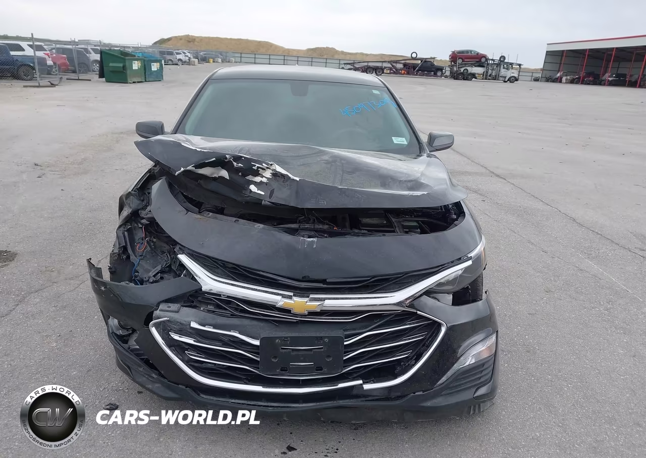 2019 Chevrolet Malibu Lt VIN:1G1ZD5ST4KF151979 - 13