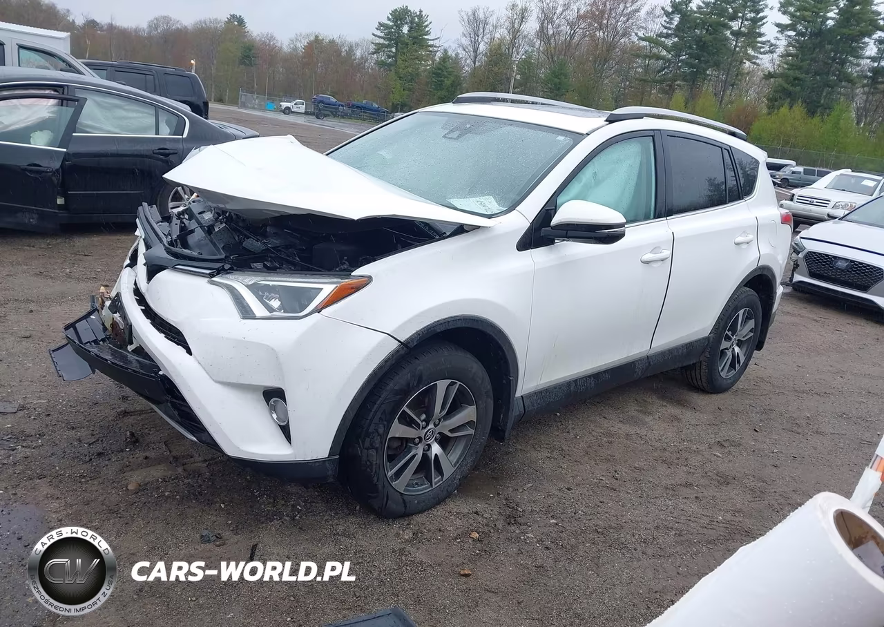 2018 Toyota Rav4 Xle VIN:2T3RFREV5JW749453 - 2