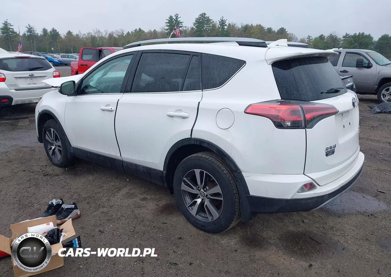 2018 Toyota Rav4 Xle VIN:2T3RFREV5JW749453 - 3