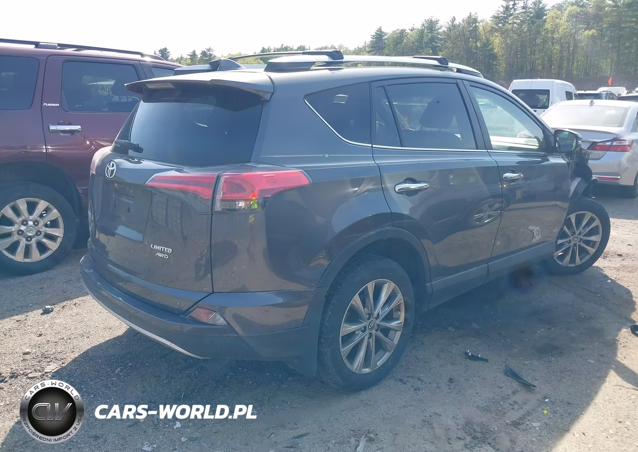 2016 Toyota Rav4 Limited VIN:JTMDFREV6GJ076111 - 4