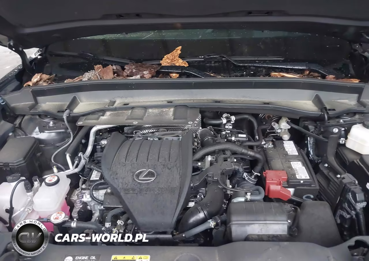 2024 Lexus Tx 350 Luxury VIN:5TDAAAA65RS012178 - 10