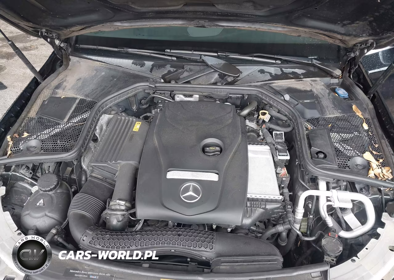 2018 Mercedes-Benz C 300 VIN:55SWF4JB0JU279855 - 10