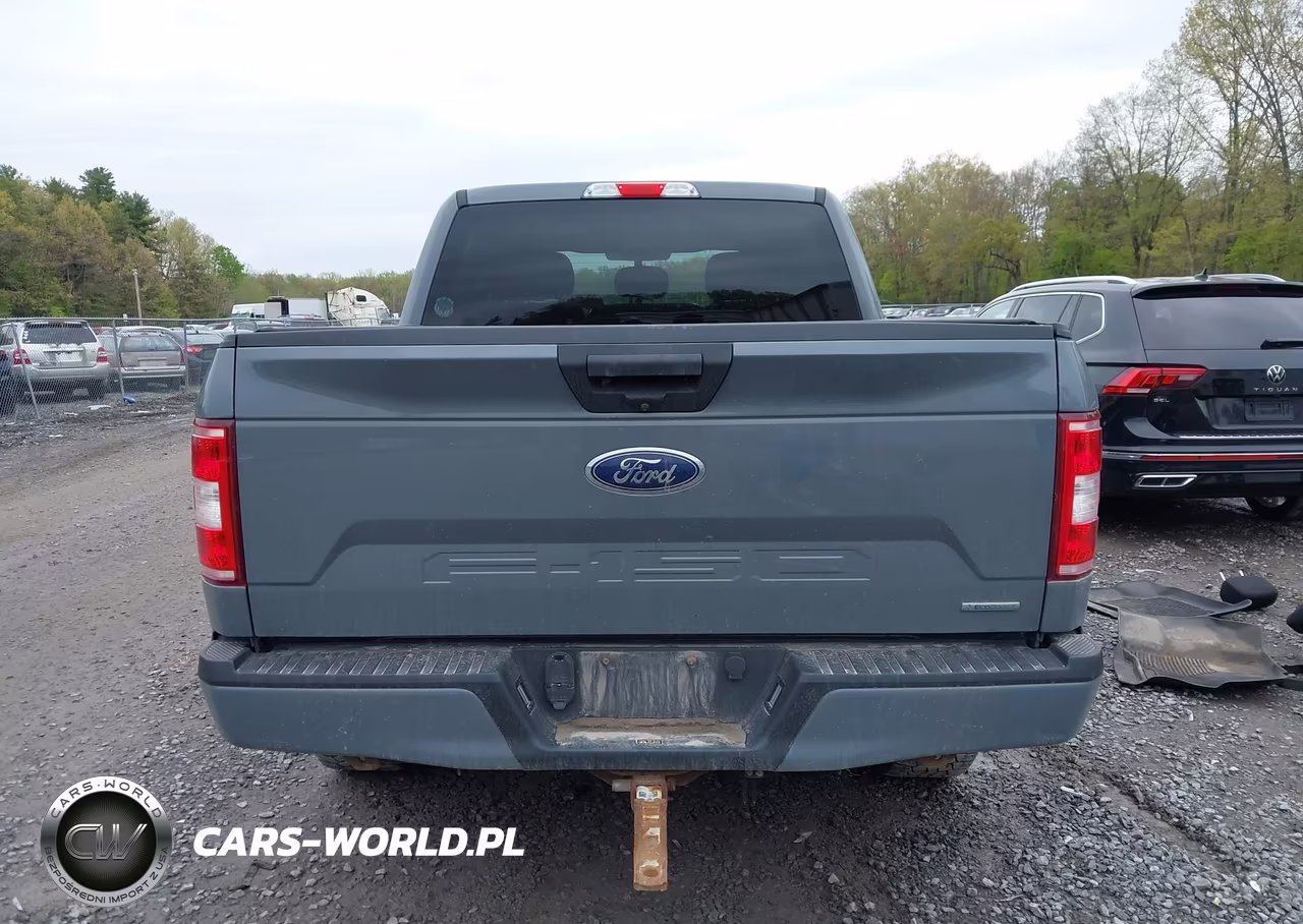 2019 Ford F-150 Xl VIN:1FTEW1EP2KKE58243 - 16