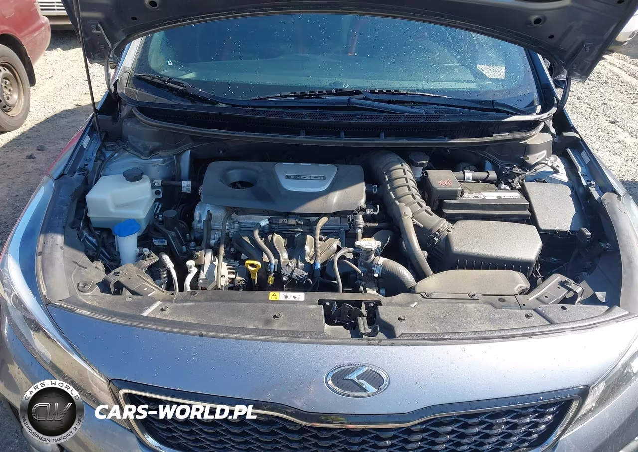 2017 Kia Forte Sx VIN:3KPFN5A33HE065106 - 10