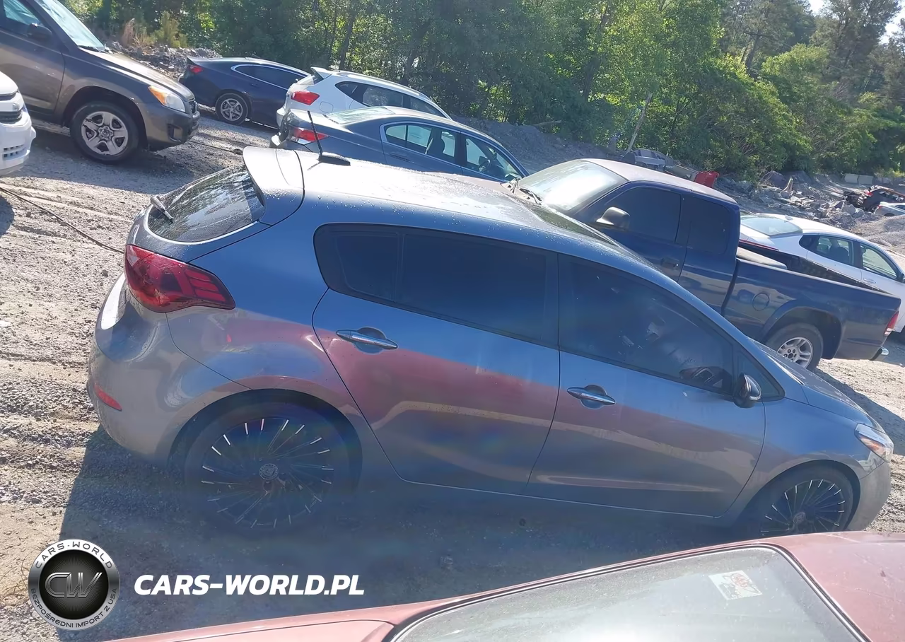 2017 Kia Forte Sx VIN:3KPFN5A33HE065106 - 13