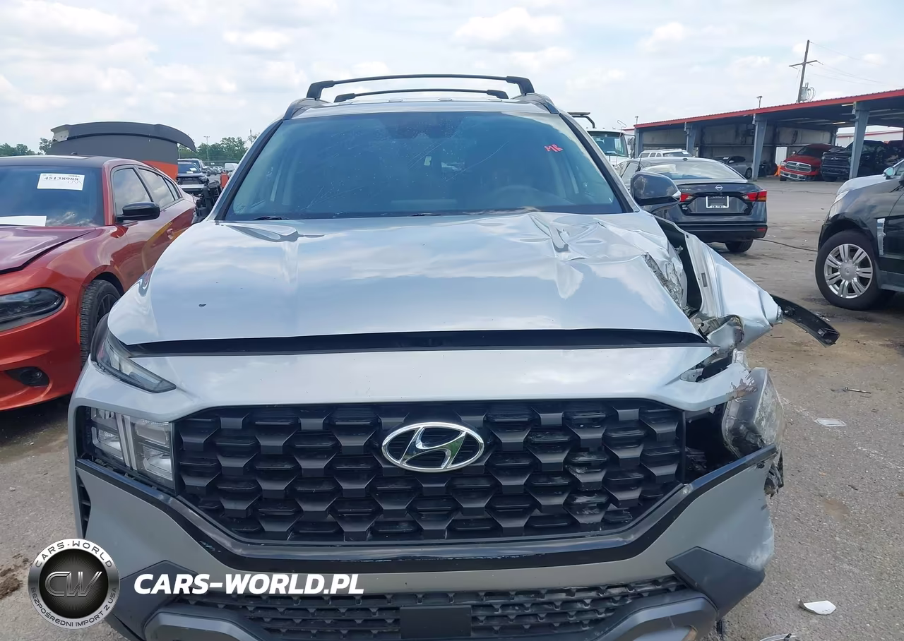 2023 Hyundai Santa Fe Xrt VIN:5NMS64AJ1PH490612 - 11