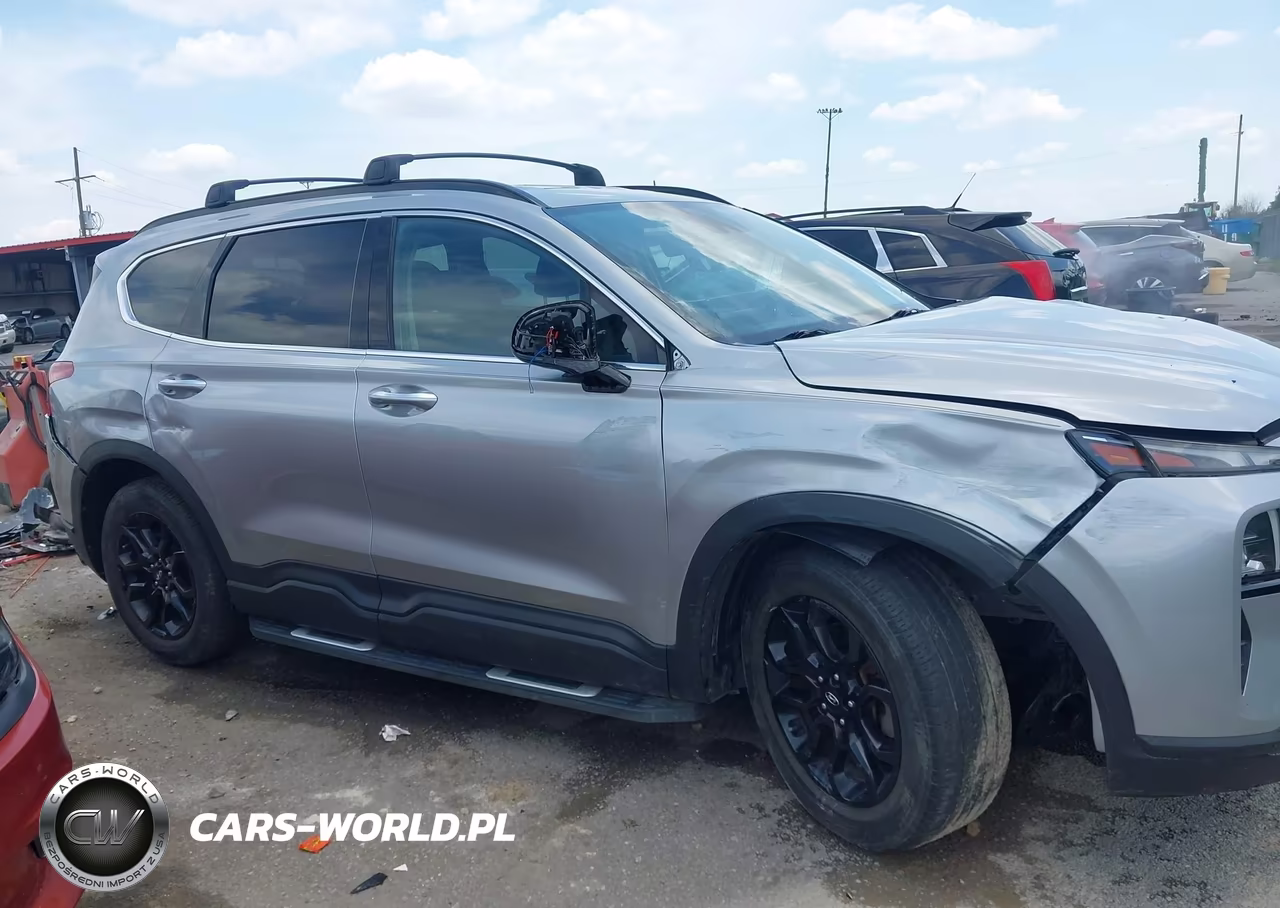 2023 Hyundai Santa Fe Xrt VIN:5NMS64AJ1PH490612 - 12