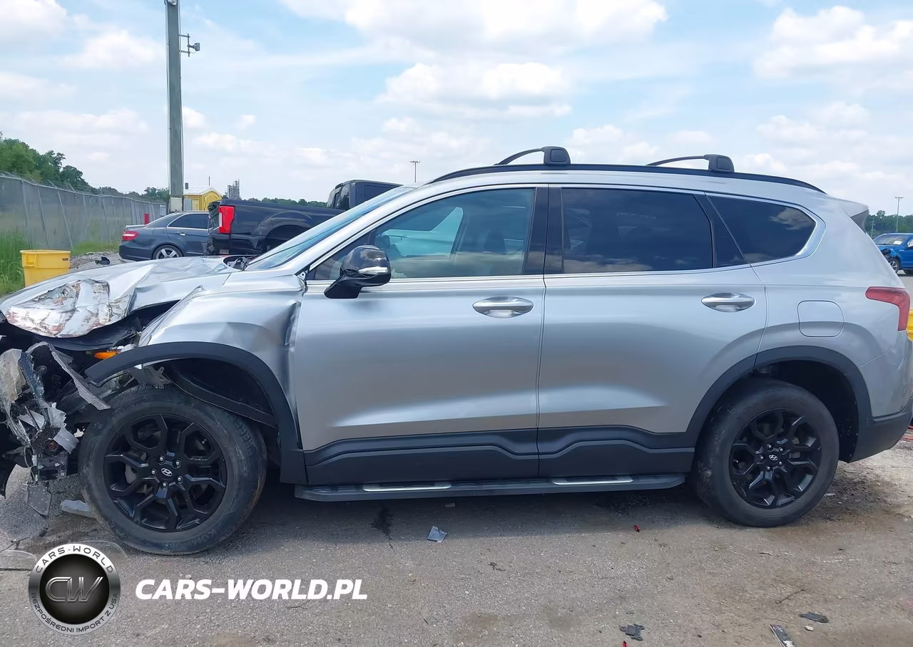 2023 Hyundai Santa Fe Xrt VIN:5NMS64AJ1PH490612 - 13