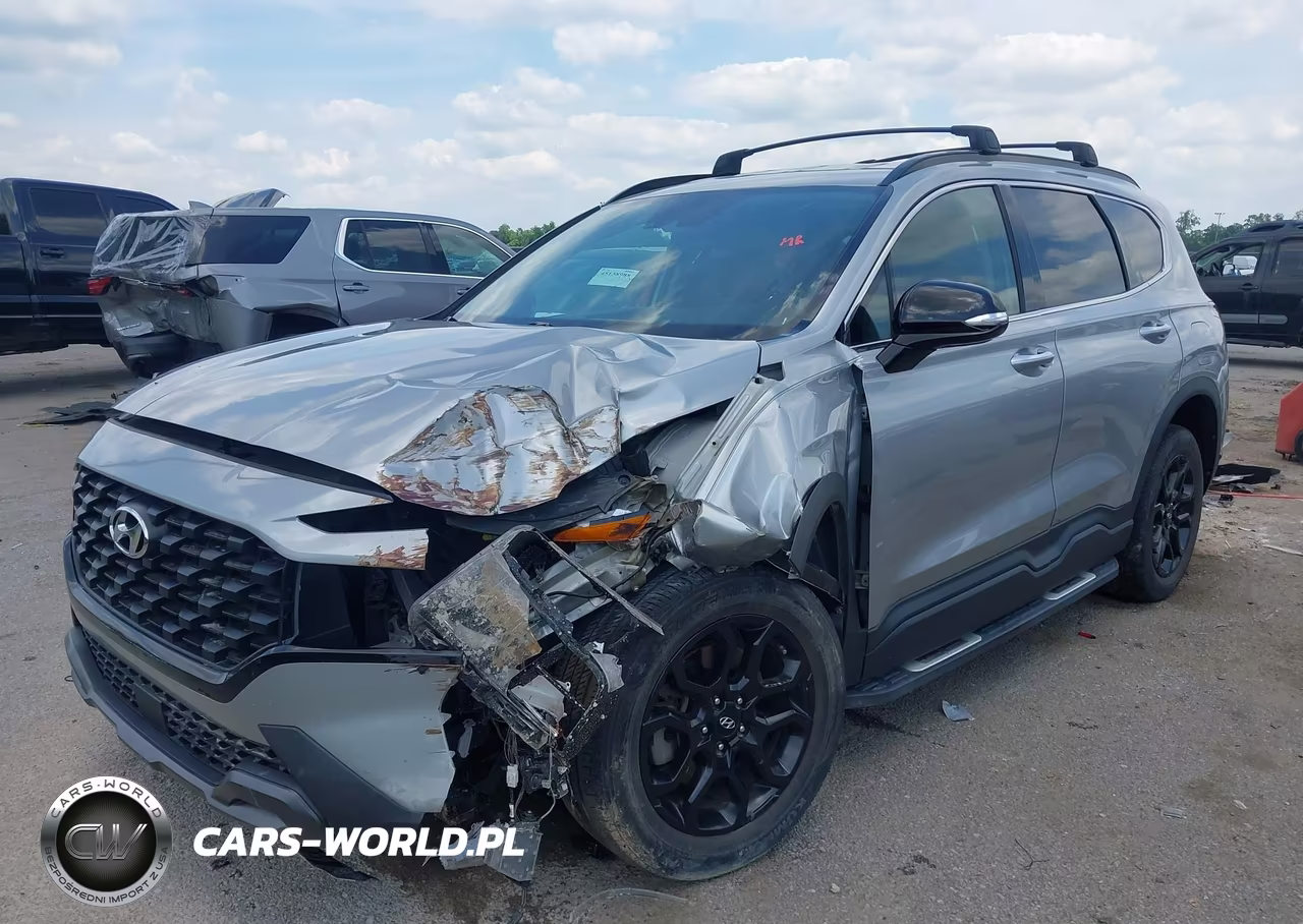 2023 Hyundai Santa Fe Xrt VIN:5NMS64AJ1PH490612 - 2