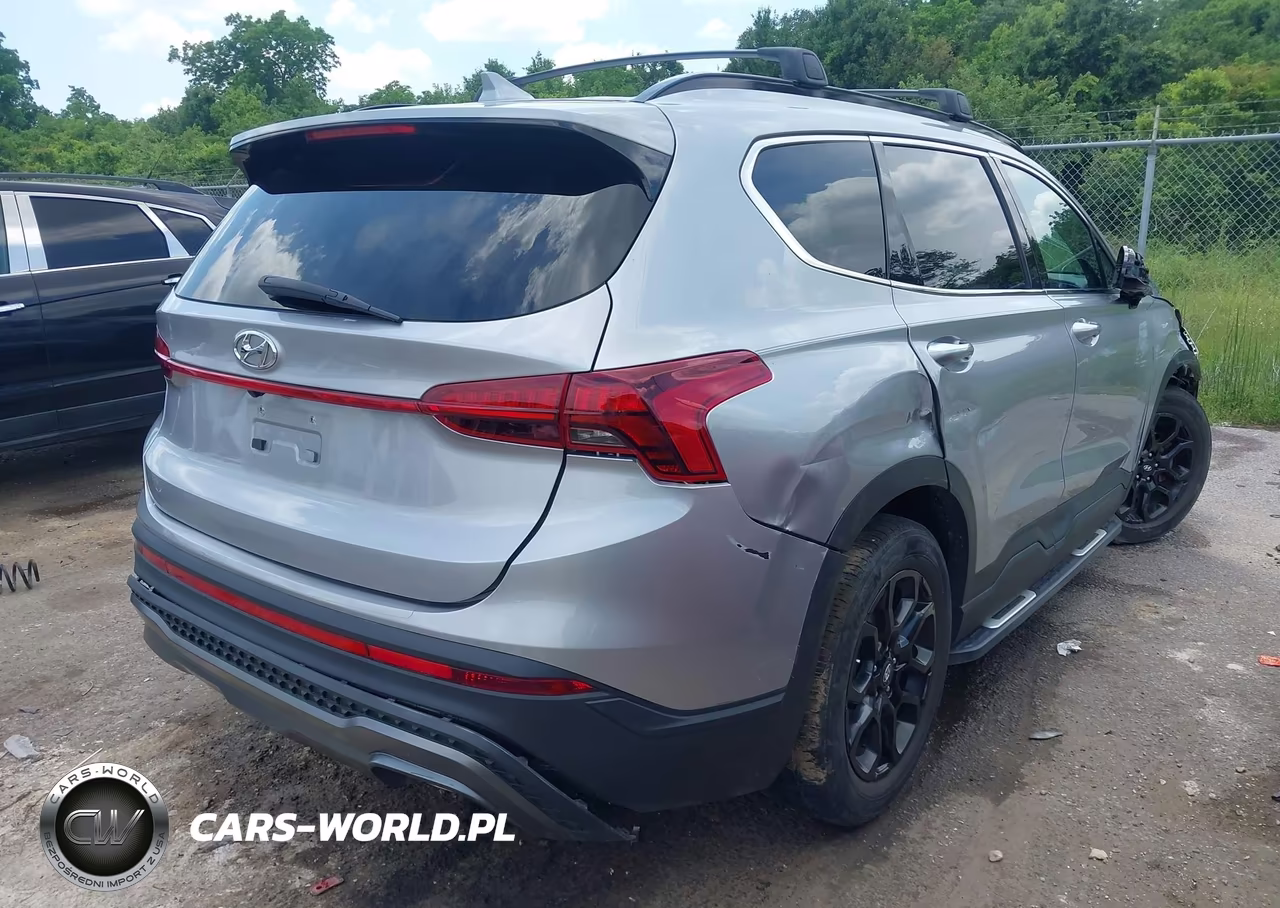 2023 Hyundai Santa Fe Xrt VIN:5NMS64AJ1PH490612 - 4