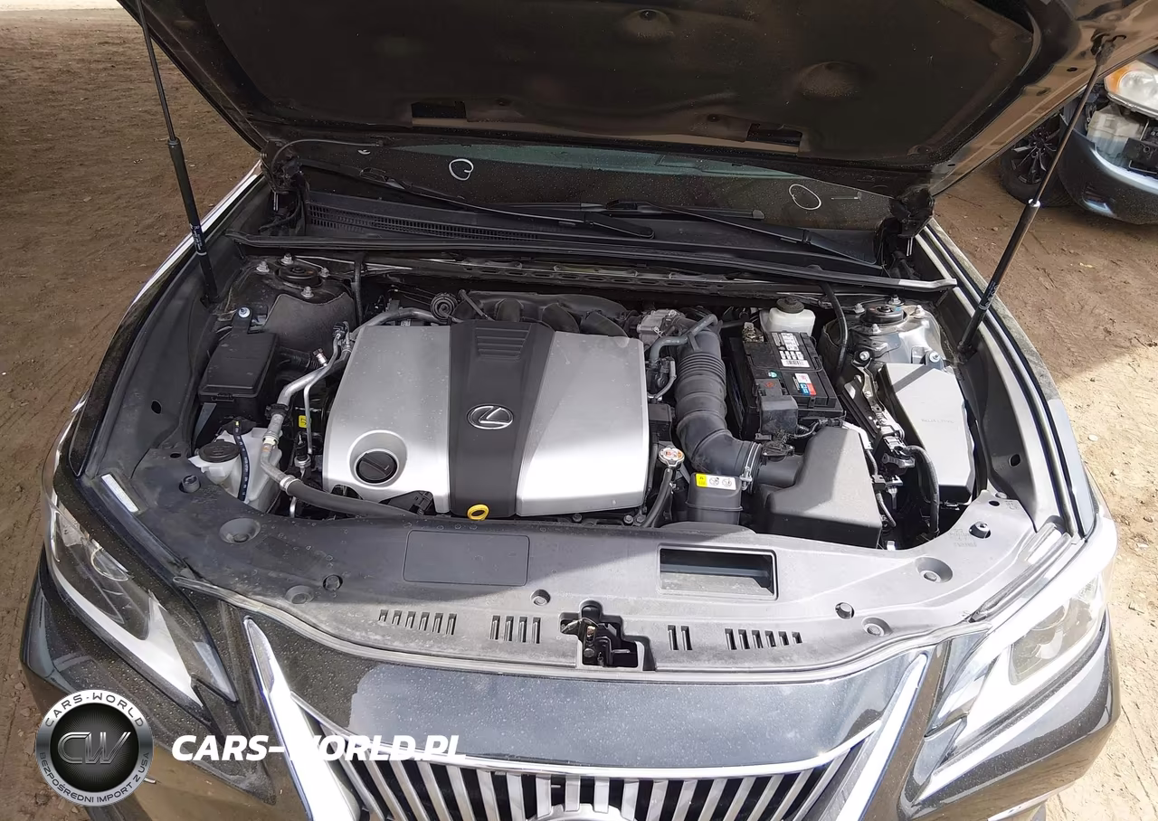 2019 Lexus Es 350 VIN:58ABZ1B17KU008722 - 10