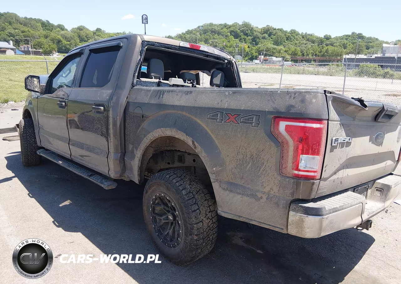 2017 Ford F-150 Xlt VIN:1FTEW1EG6HFB82022 - 3