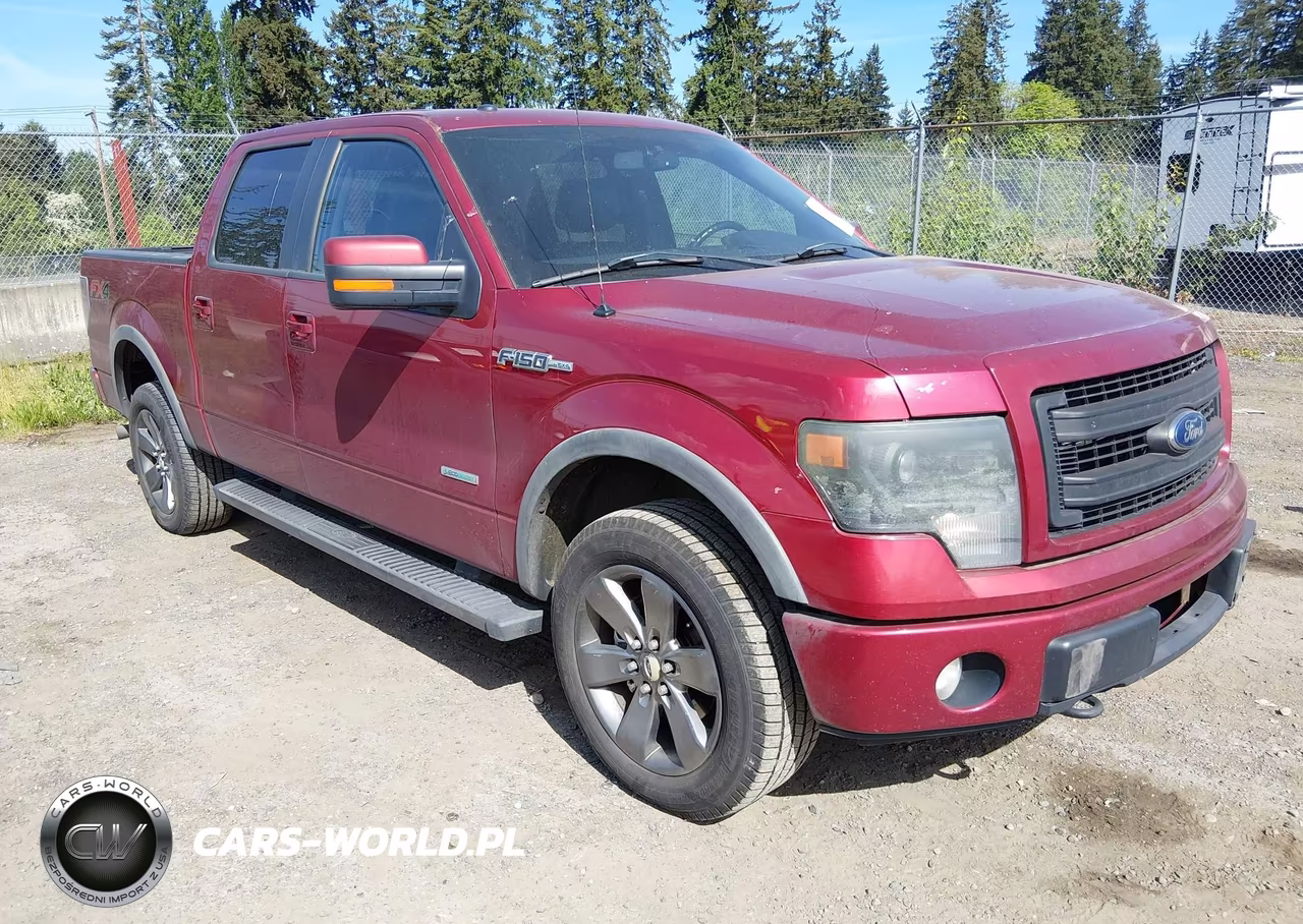 Główne zdjęcie 2013 Ford F-150 Fx4