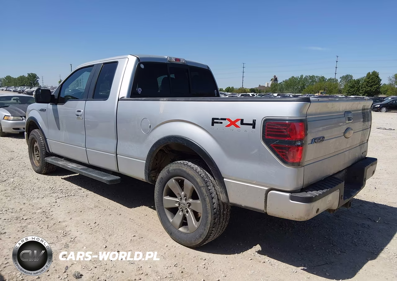 2011 Ford F-150 Fx4 VIN:1FTFX1EF9BFB40962 - 3
