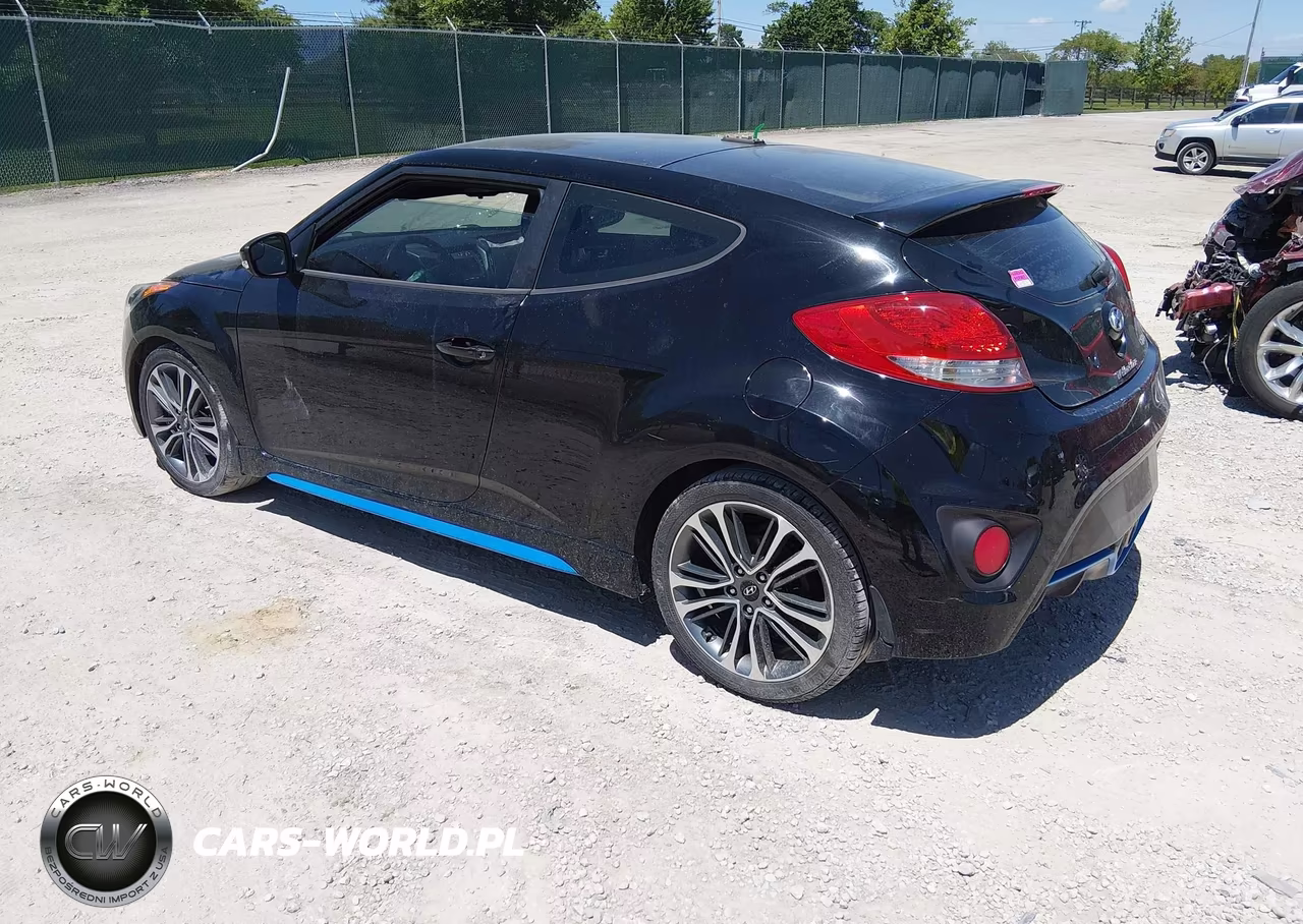 2016 Hyundai Veloster Turbo VIN:KMHTC6AE6GU280023 - 3