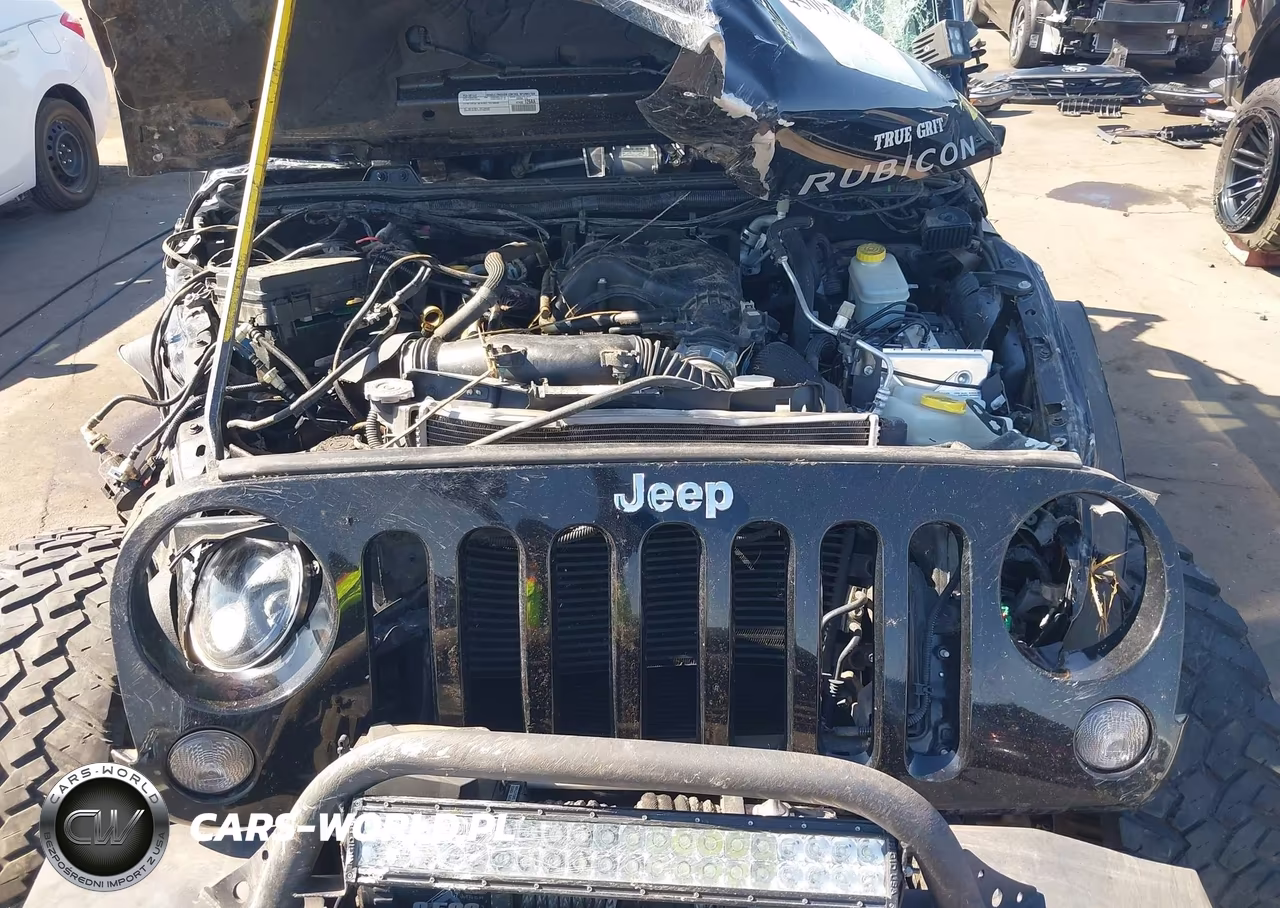 2015 Jeep Wrangler Unlimited Rubicon VIN:1C4HJWFG4FL682220 - 10