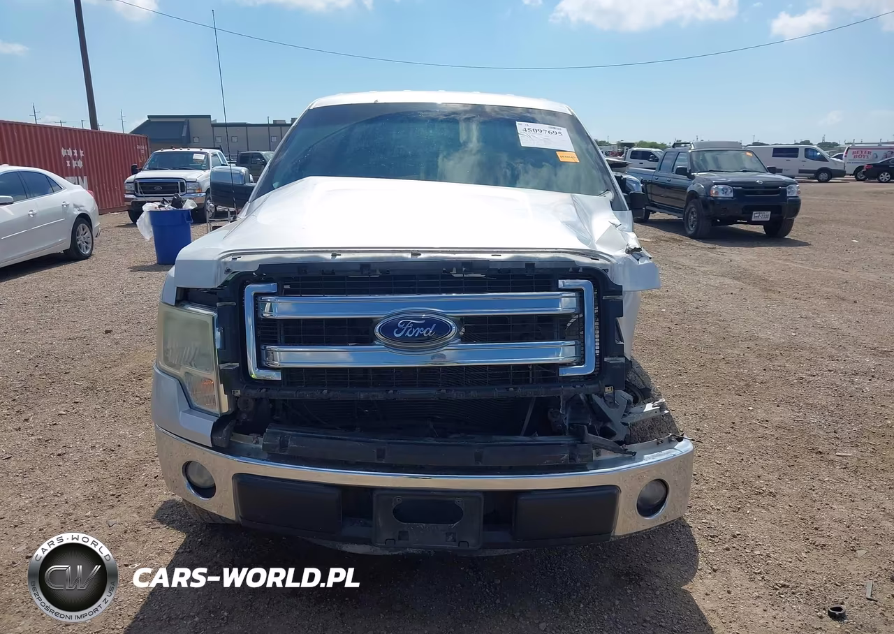 2014 Ford F-150 Xlt VIN:1FTEW1CM1EFA48684 - 12