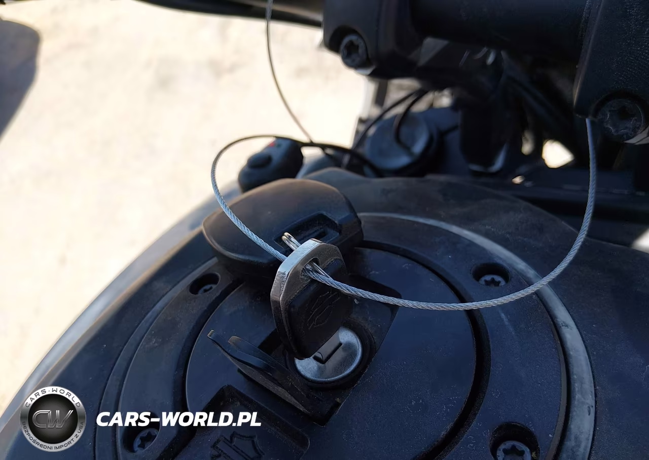2024 Harley-Davidson Ra1250 S VIN:1HD1ZES19RB306028 - 11