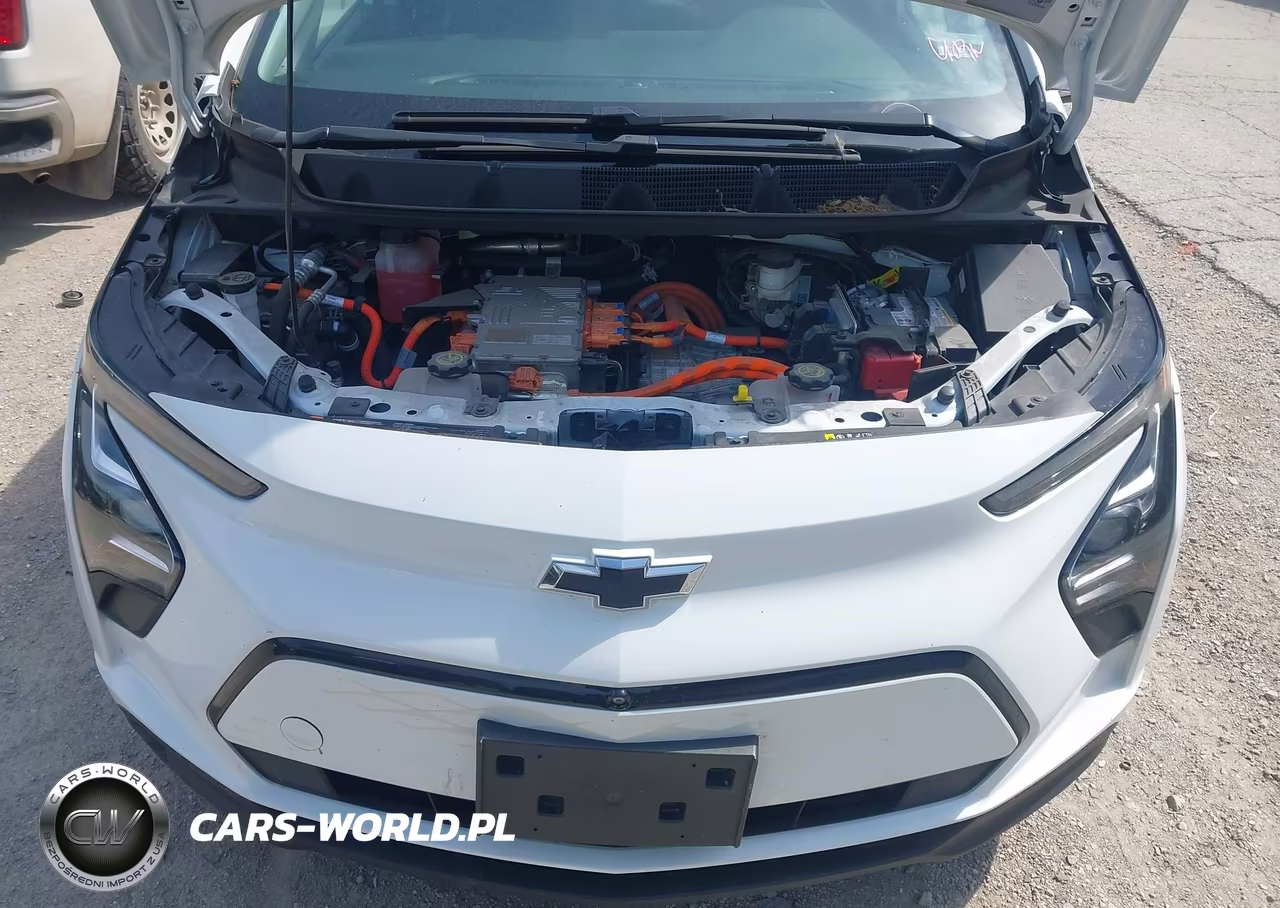 2023 Chevrolet Bolt Ev Fwd 2Lt VIN:1G1FX6S06P4196656 - 10