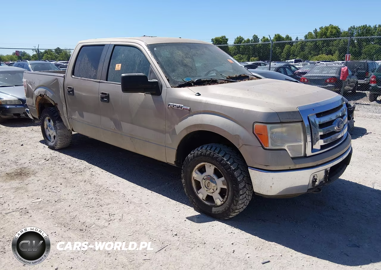 Główne zdjęcie 2010 Ford F-150 Fx4-Harley-Davidson-King Ranch-Lariat-Platinum-Xl-Xlt