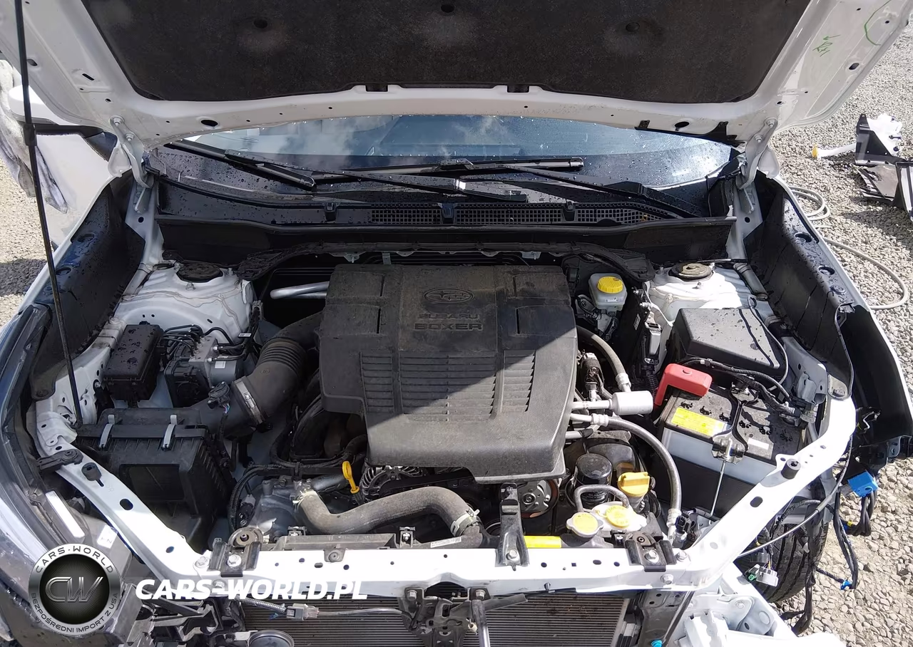 2024 Subaru Forester Limited VIN:JF2SKAKC0RH497731 - 10