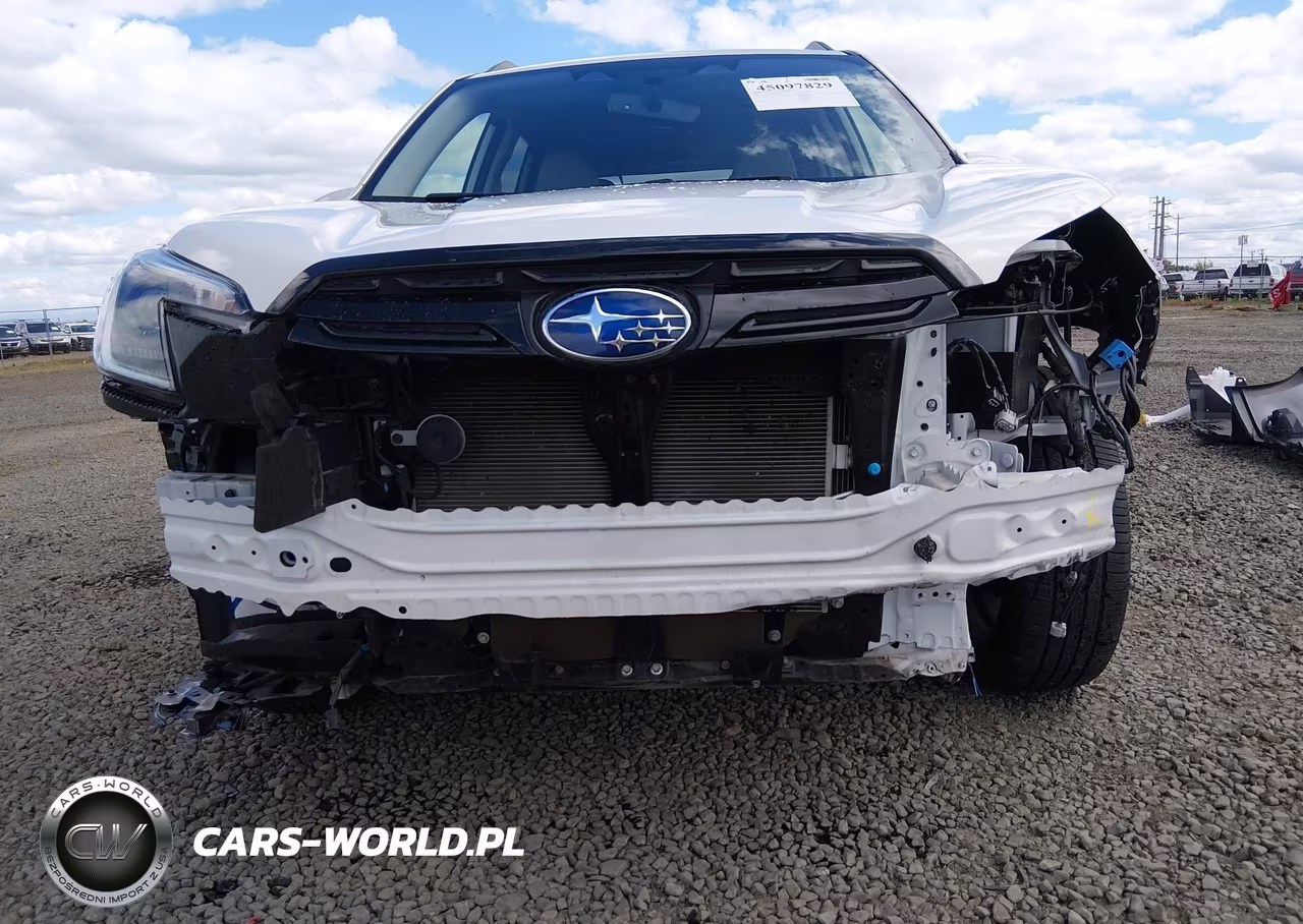 2024 Subaru Forester Limited VIN:JF2SKAKC0RH497731 - 20