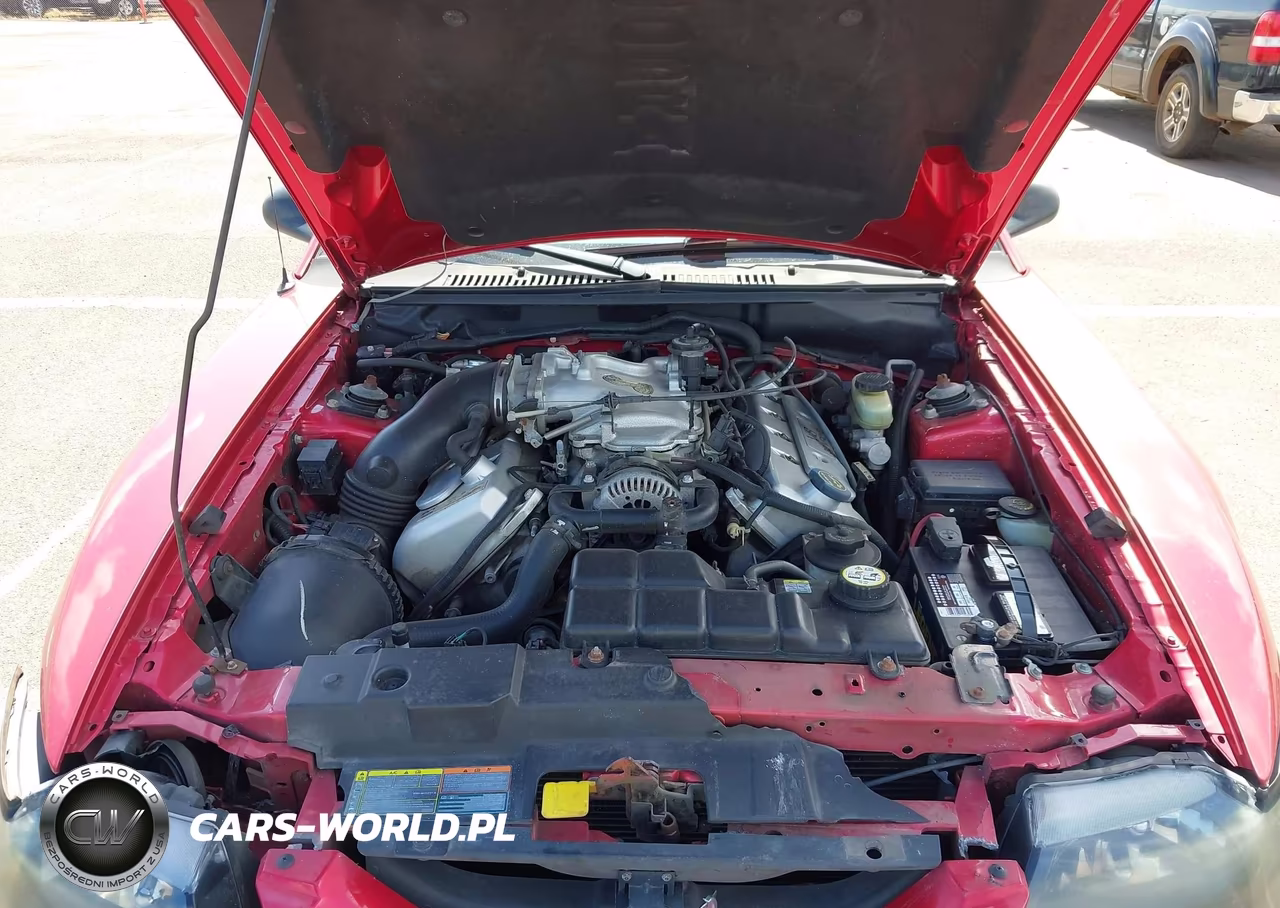 2001 Ford Mustang Cobra VIN:1FAFP46V41F232878 - 10