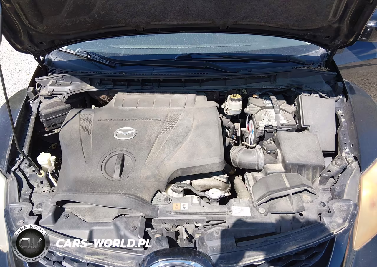 2010 Mazda Cx-7 S Touring VIN:JM3ER2W31A0349833 - 10