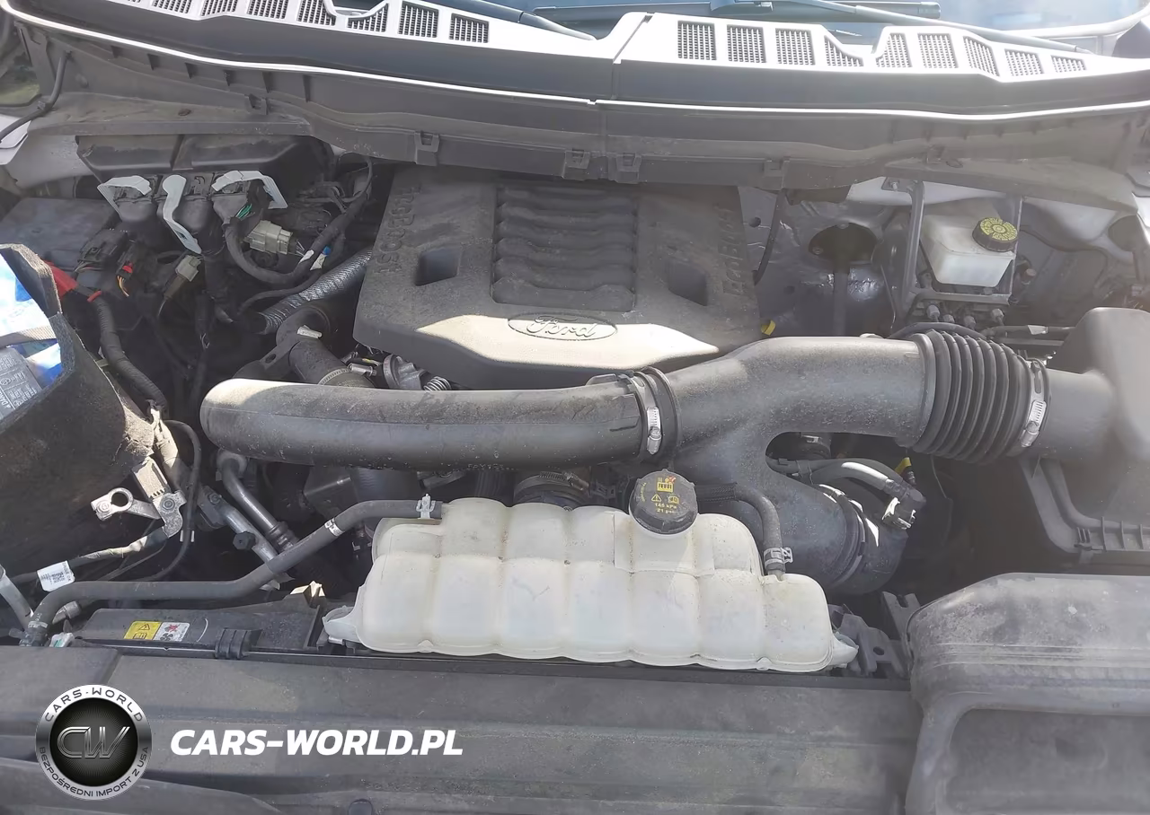2021 Ford F-150 Tremor VIN:1FTEW1E83MFC67130 - 10