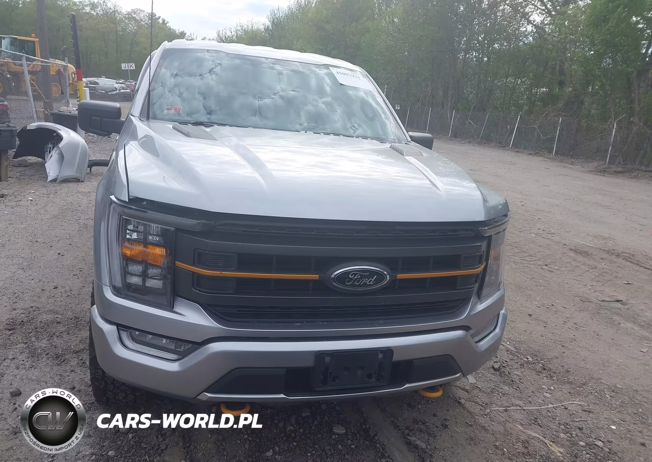 2021 Ford F-150 Tremor VIN:1FTEW1E83MFC67130 - 12