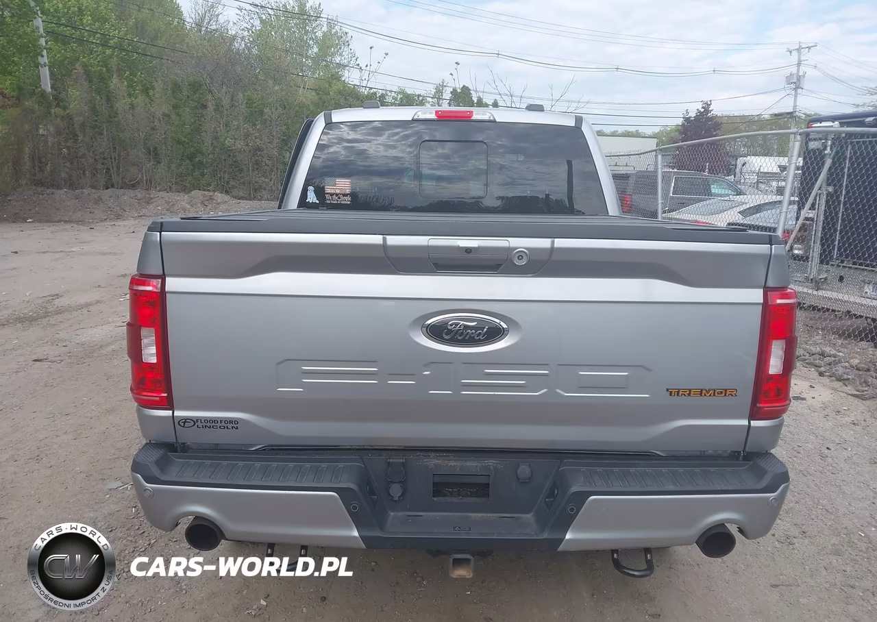 2021 Ford F-150 Tremor VIN:1FTEW1E83MFC67130 - 16