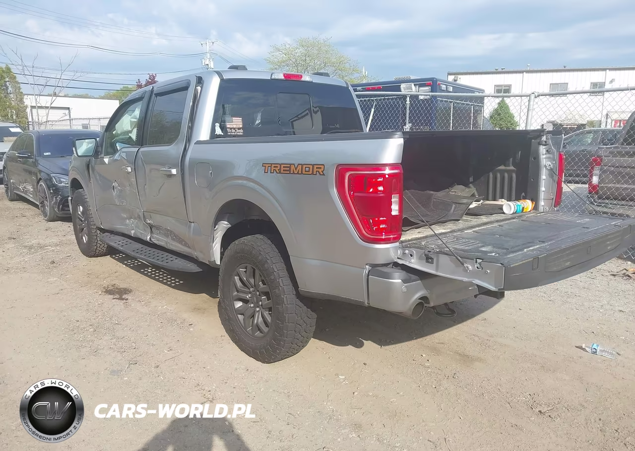 2021 Ford F-150 Tremor VIN:1FTEW1E83MFC67130 - 3