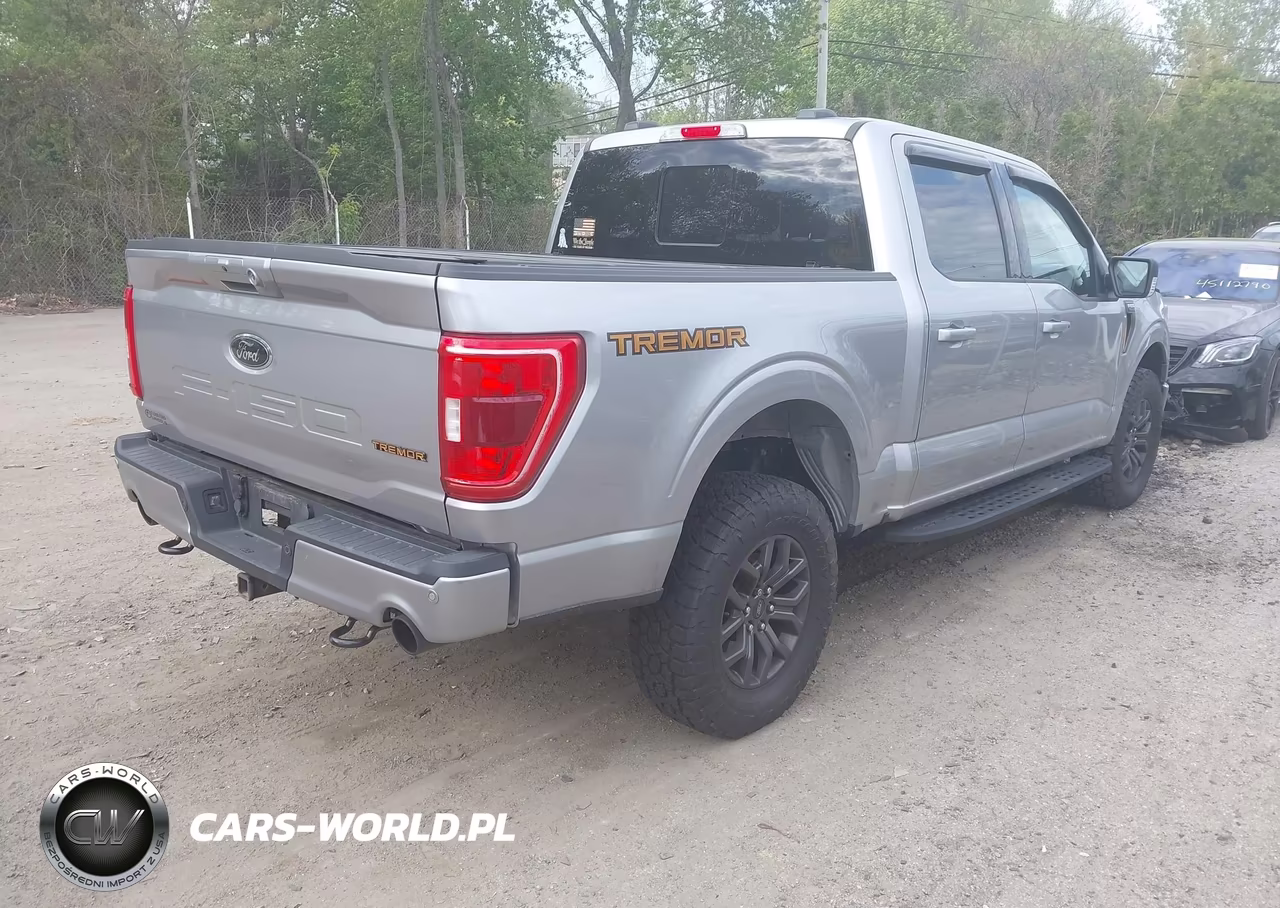 2021 Ford F-150 Tremor VIN:1FTEW1E83MFC67130 - 4