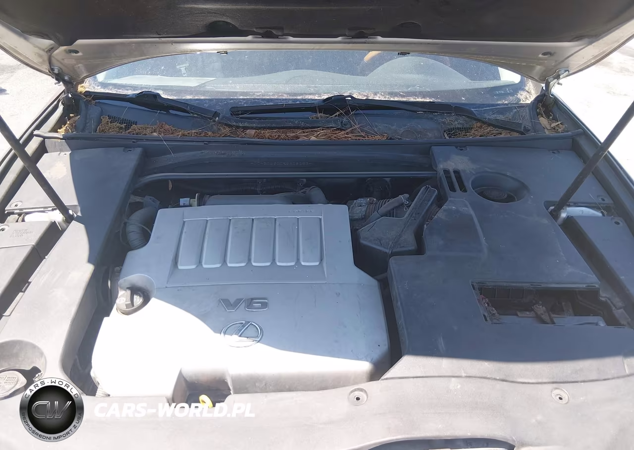 2009 Lexus Es 350 VIN:JTHBJ46G092309033 - 10