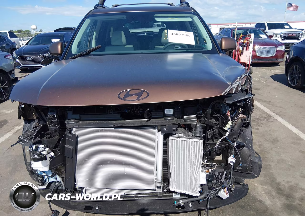 2025 Hyundai Santa Fe Hybrid Calligraphy VIN:5NMP54G16SH058901 - 13