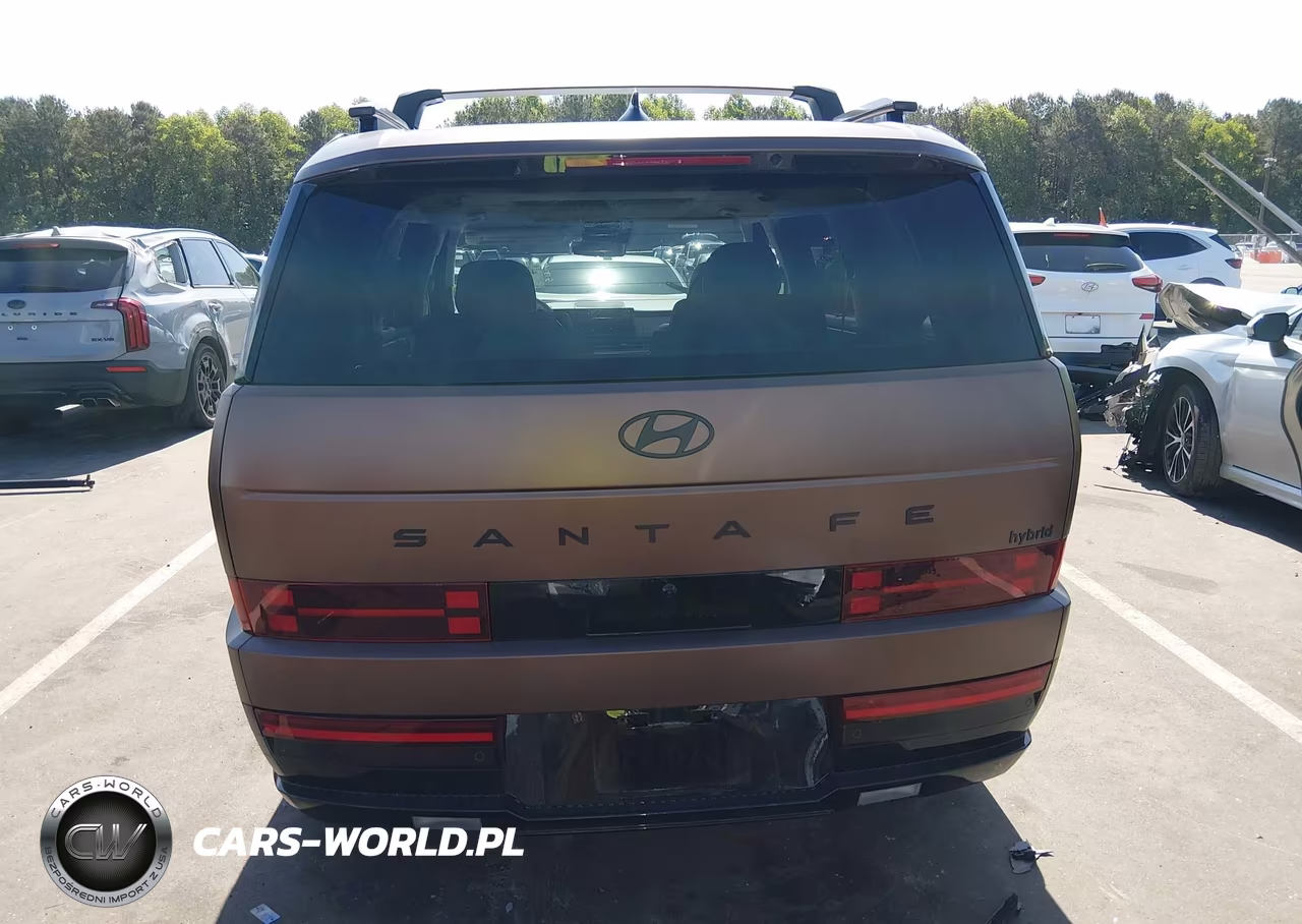 2025 Hyundai Santa Fe Hybrid Calligraphy VIN:5NMP54G16SH058901 - 17