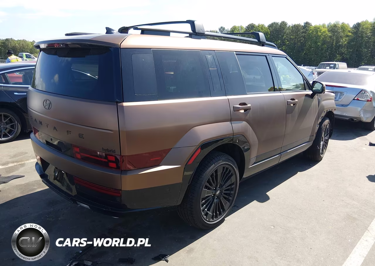 2025 Hyundai Santa Fe Hybrid Calligraphy VIN:5NMP54G16SH058901 - 4