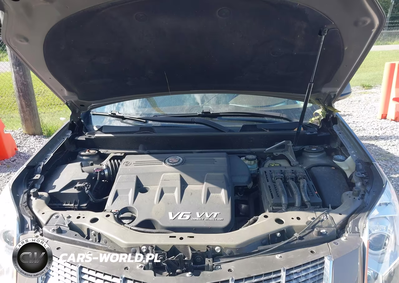 2011 Cadillac Srx Luxury Collection VIN:3GYFNAEY8BS628961 - 10