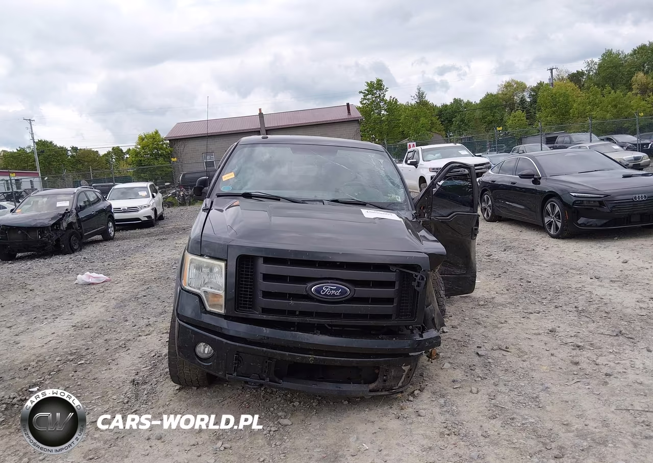 2010 Ford F-150 Fx4 VIN:1FTFW1EV4AFD10525 - 13