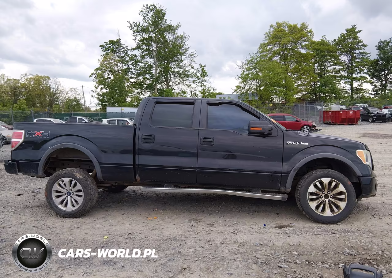 2010 Ford F-150 Fx4 VIN:1FTFW1EV4AFD10525 - 14