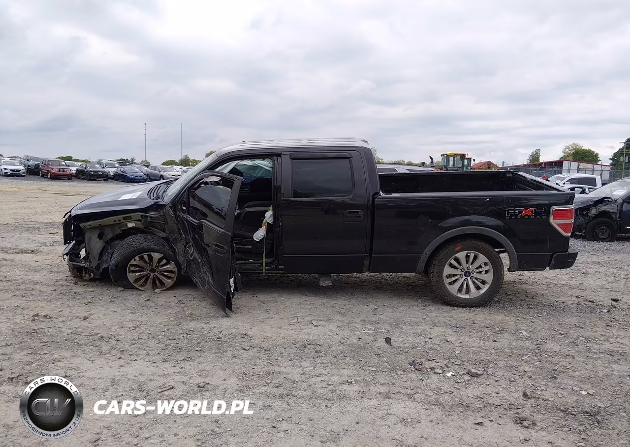 2010 Ford F-150 Fx4 VIN:1FTFW1EV4AFD10525 - 15